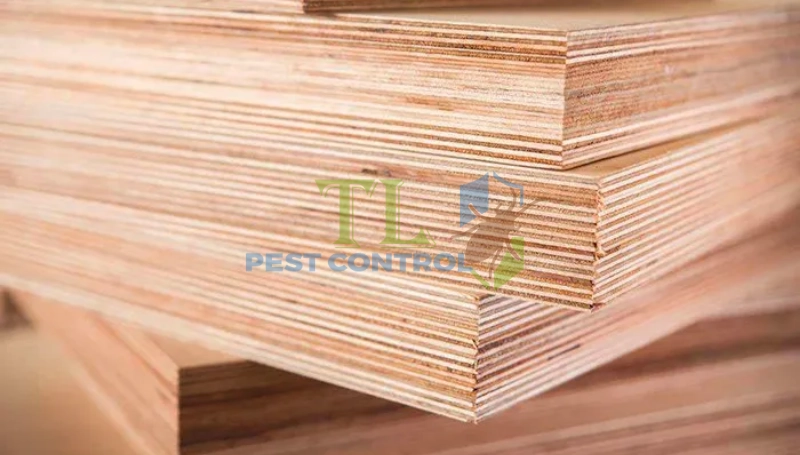 Các phương pháp giúp gỗ công nghiệp chống mối mọt