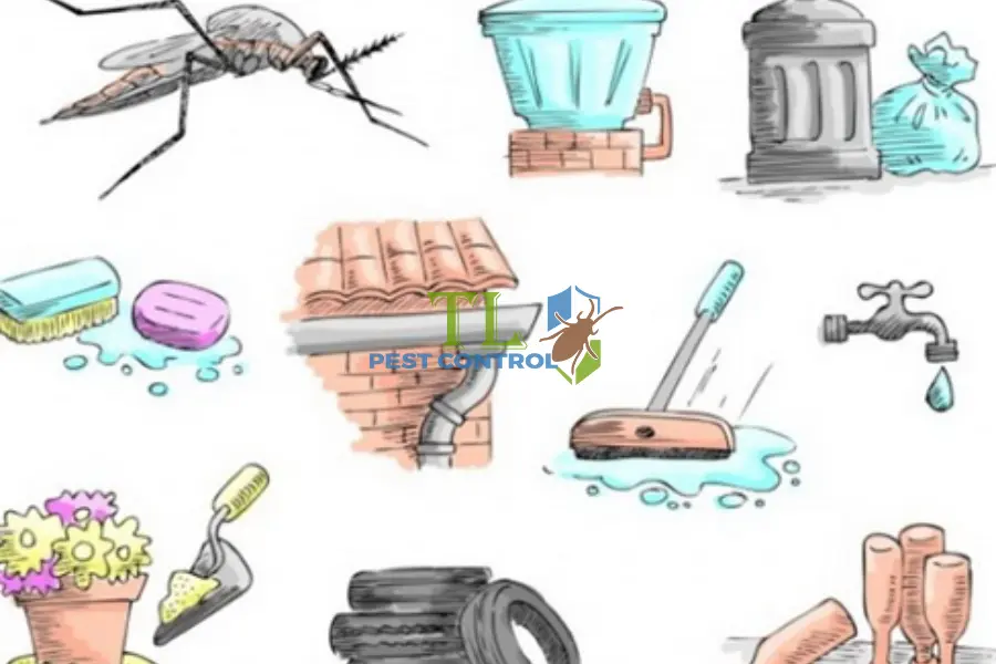 Cách Diệt Lăng Quăng Bọ Gậy Để Phòng Ngừa Muỗi Và Sốt Xuất Huyết Hiệu Quả