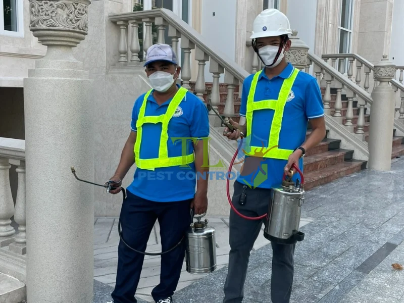 diệt kiến hiệu quả không độc hại diệt kiến hiệu quả không độc hại