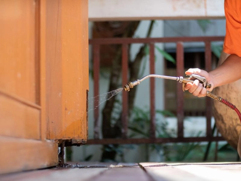 diệt mối trong tủ quần áo