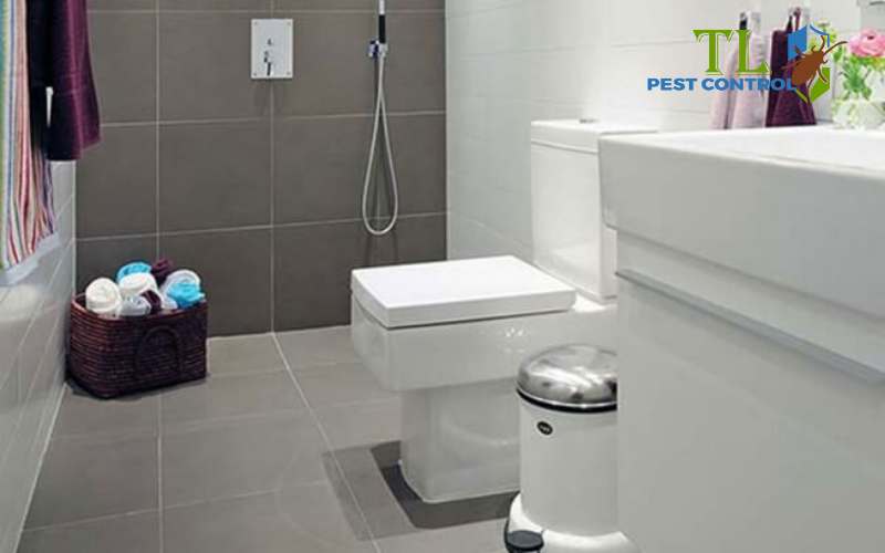 Nguồn gốc và nhận biết bồ hóng trong nhà vệ sinh