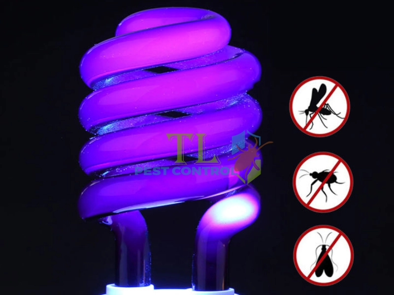 cách đuổi ruồi cho quán ăn cách đuổi ruồi cho quán ăn