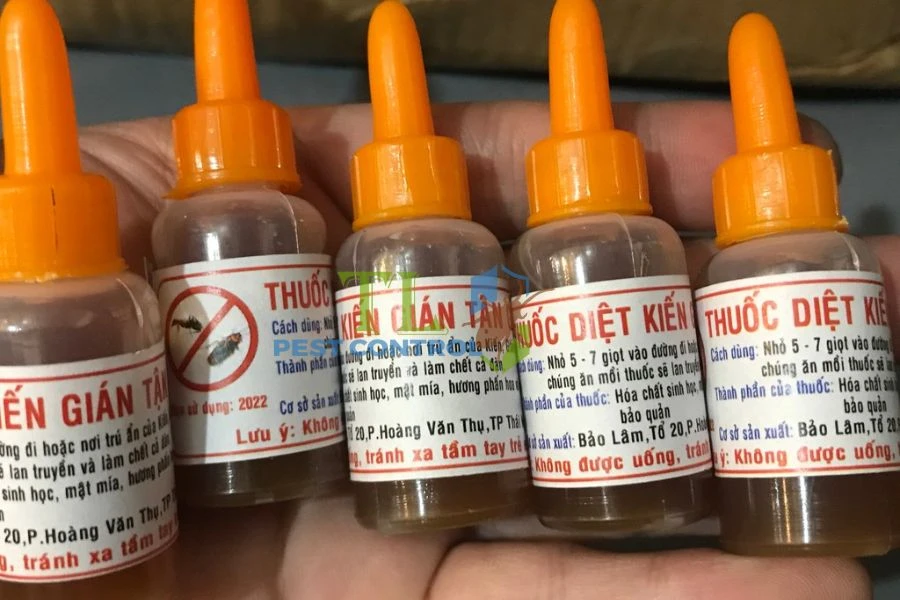 Thuốc Xịt Kiến Có Độc Không? Cách Dùng An Toàn Và Hiệu Quả Tại Nhà