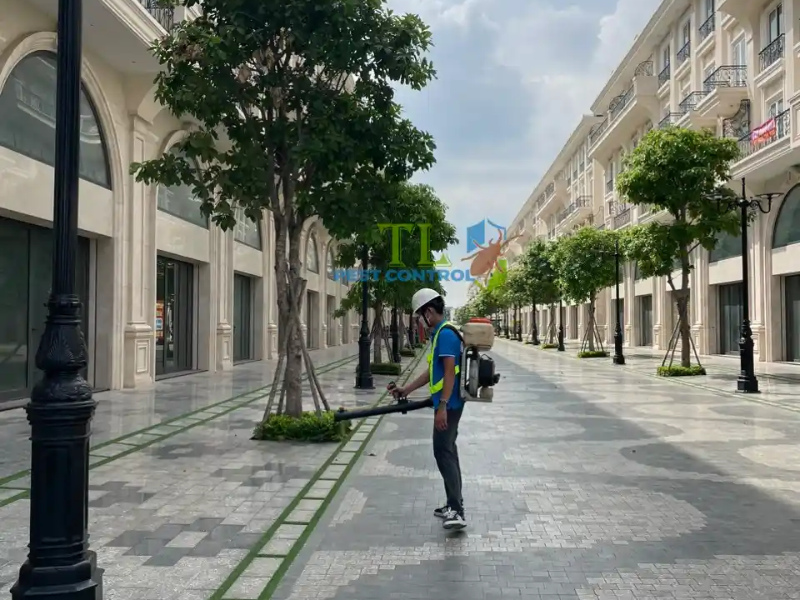 Trần Long là công ty diệt mối uy tín hàng đầu tại phường Minh Phụng