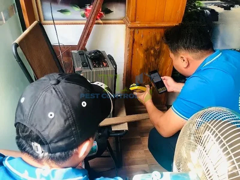 diệt côn trùng giá rẻ