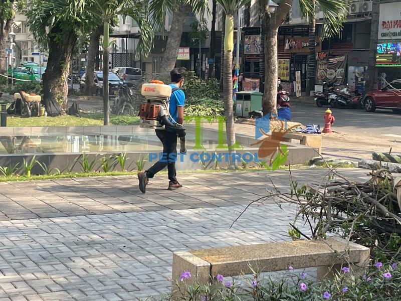  Quy trình dịch vụ diệt mối chuyên nghiệp tại Phường Tân Thới Hiệp