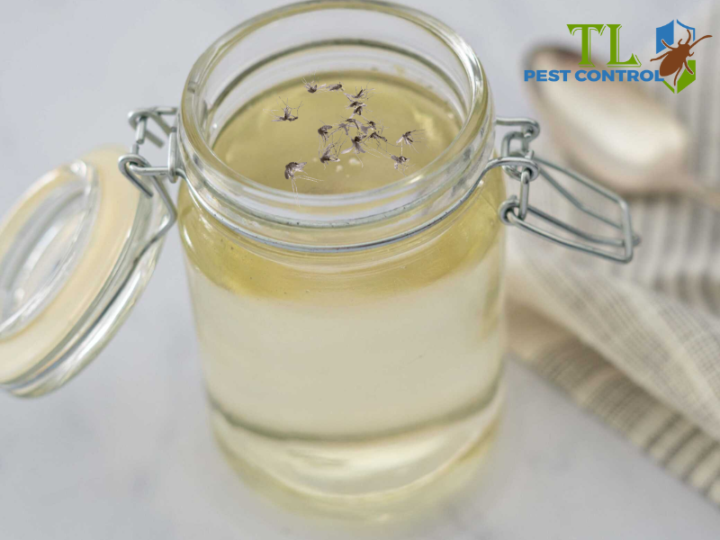 Thay dung dịch nước đường thường xuyên để tăng hiệu quả