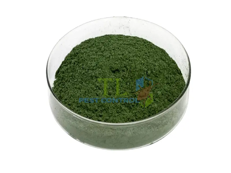 Diệt mối bằng bả sinh học 