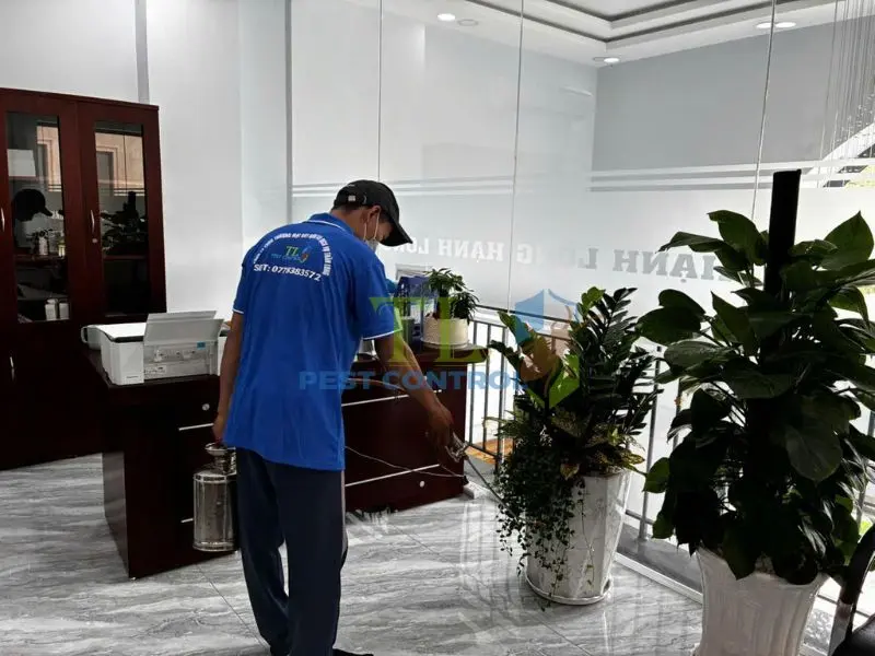 Lợi ích của việc phun thuốc diệt muỗi định kỳ