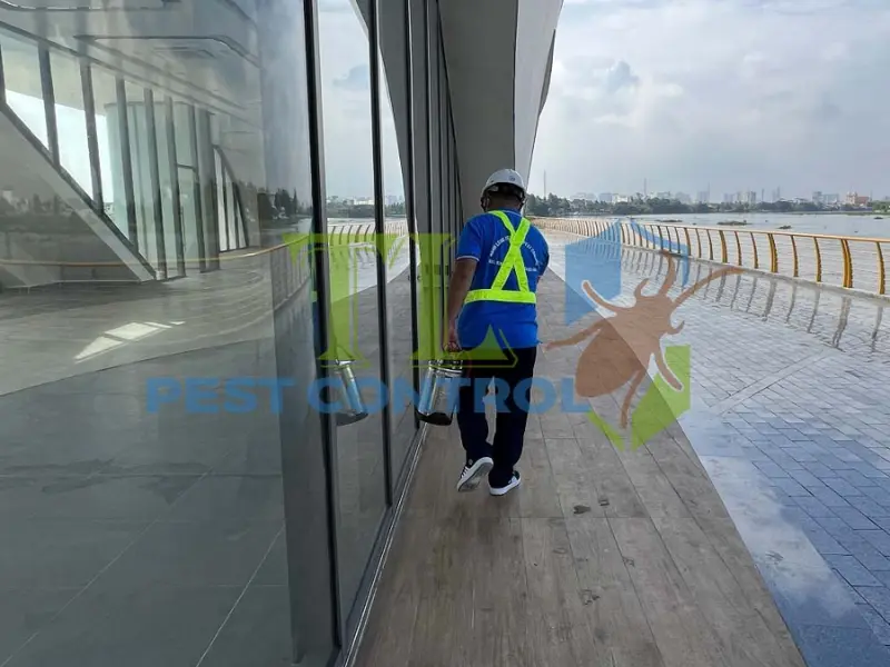 Cam kết chất lượng diệt mối tận gốc tại quận 11 Trần Long