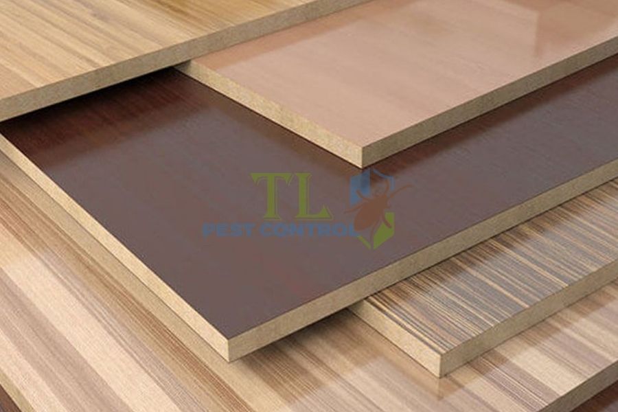 Mối mọt có ăn gỗ công nghiệp không? Loại nào dễ bị mối ăn nhất
