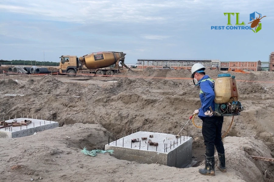 Diệt Mối Xong Vẫn Còn Mối: Nguyên Nhân Và Cách Xử Lý 