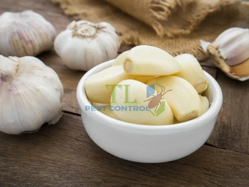 diệt muỗi trong tủ quần áo
