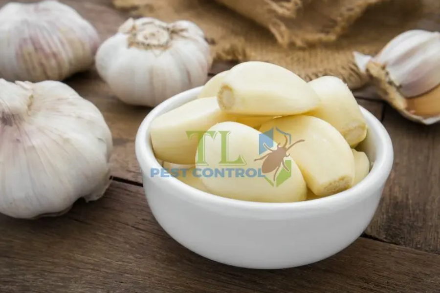 Dùng tỏi để đuổi muỗi 