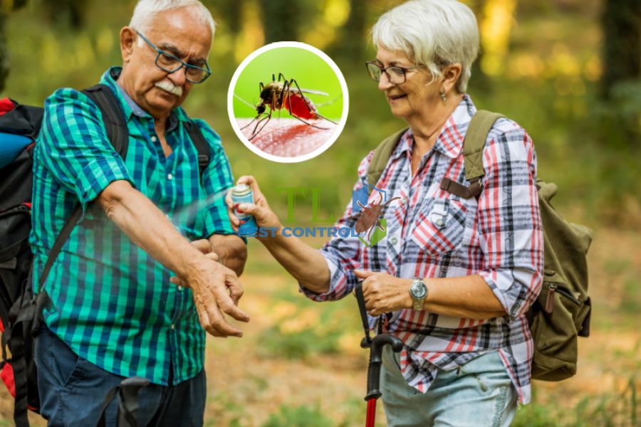 Các Phương Pháp Diệt Muỗi Cho Khu Du Lịch Hiệu Quả Và An Toàn