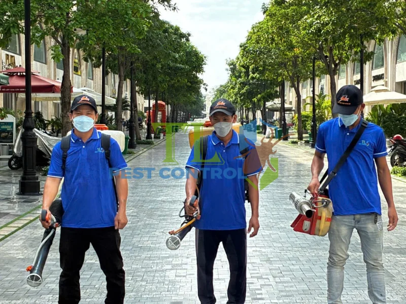 diệt mối quận 1