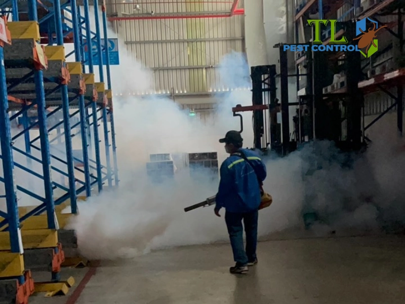 diệt mối có cần ra khỏi nhà không