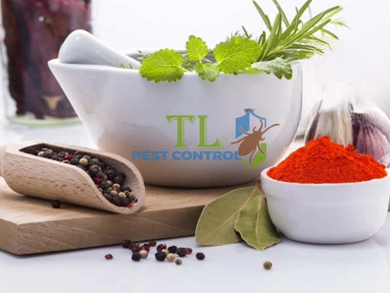 diệt kiến an toàn cho trẻ sơ sinh