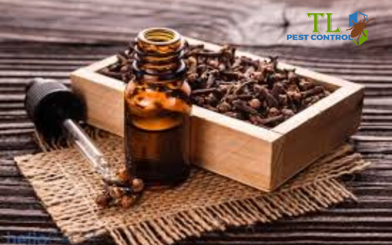 Tinh dầu đinh hương