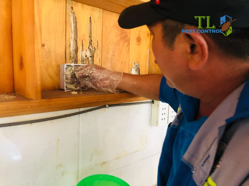 diệt mối tại quận 4