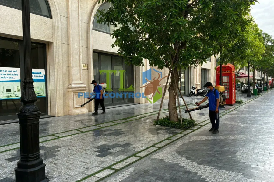 Diệt mối phường Sài Gòn