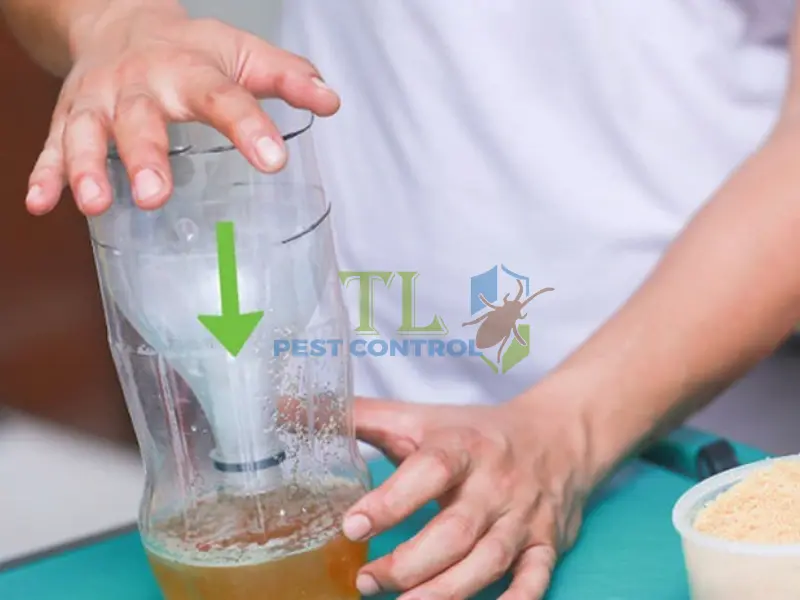 cách làm bẫy muỗi bằng chai nhựa
