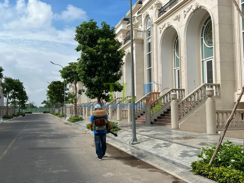 Giải pháp diệt muỗi hiệu quả từ Trần Long