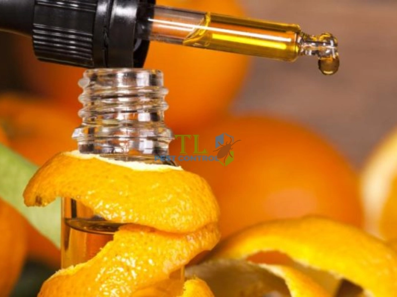 tinh dầu cam diệt mọt gỗ