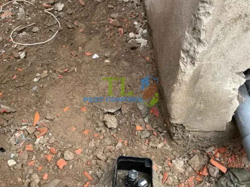 dịch vụ phòng chống mối dịch vụ phòng chống mối