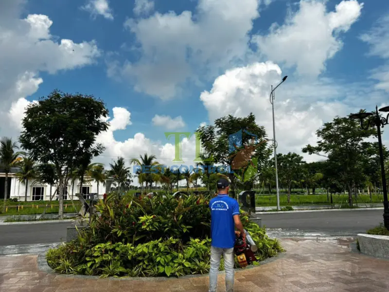 Tham khảo thêm các dịch vụ diệt mối của Trần Long tại khu vực lân cận