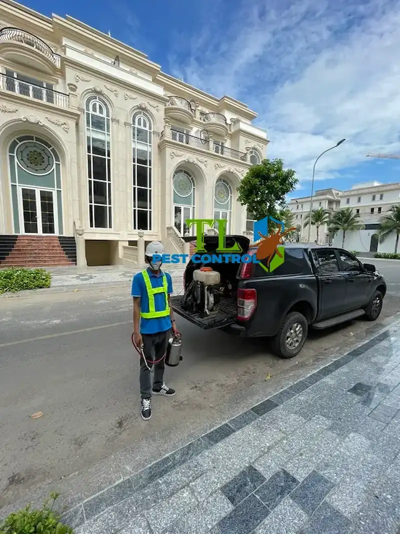 diệt mối quận 12