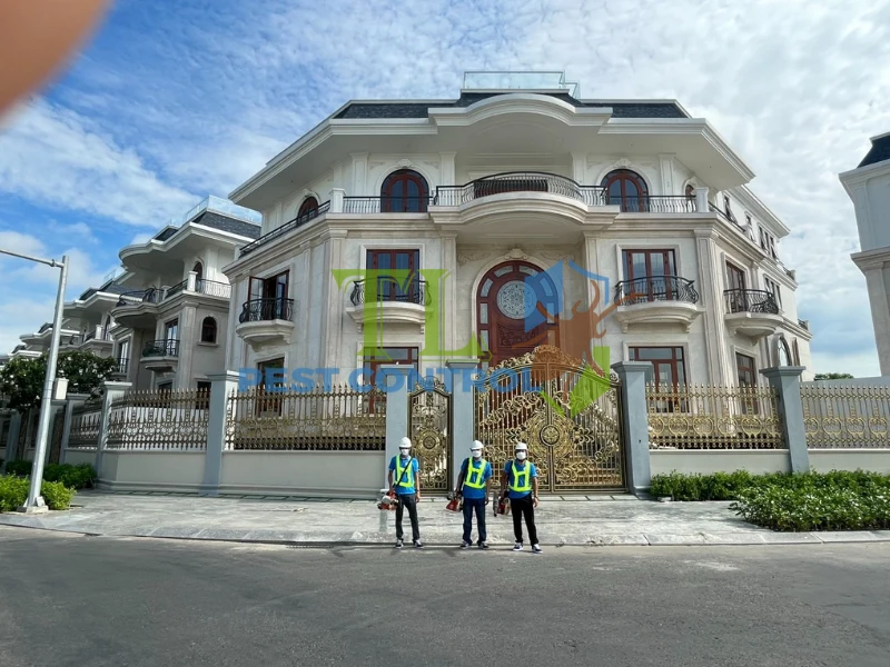 so sánh diệt mối định kỳ và diệt ký một lần so sánh diệt mối định kỳ và diệt ký một lần