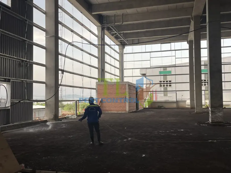 Dịch vụ diệt muỗi tận gốc chuyên nghiệp Trần Long