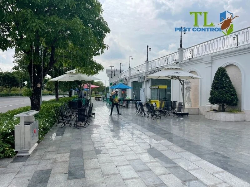 mẹo chống muỗi đốt mẹo chống muỗi đốt