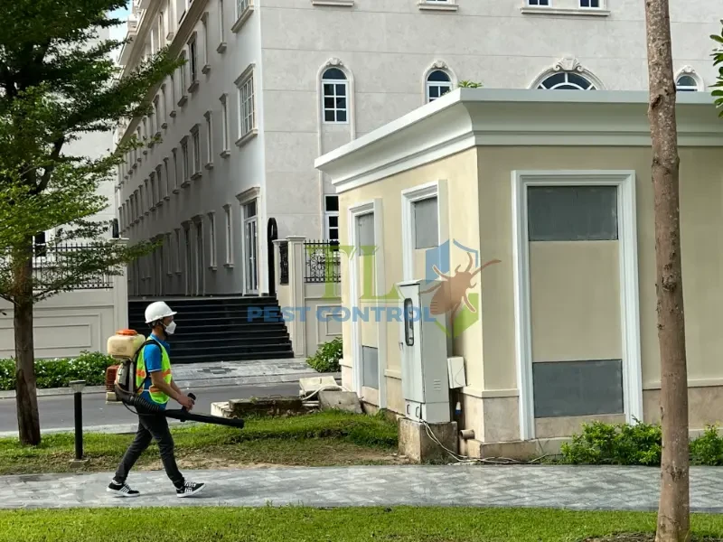 dịch vụ diệt mối bình thạnh dịch vụ diệt mối bình thạnh