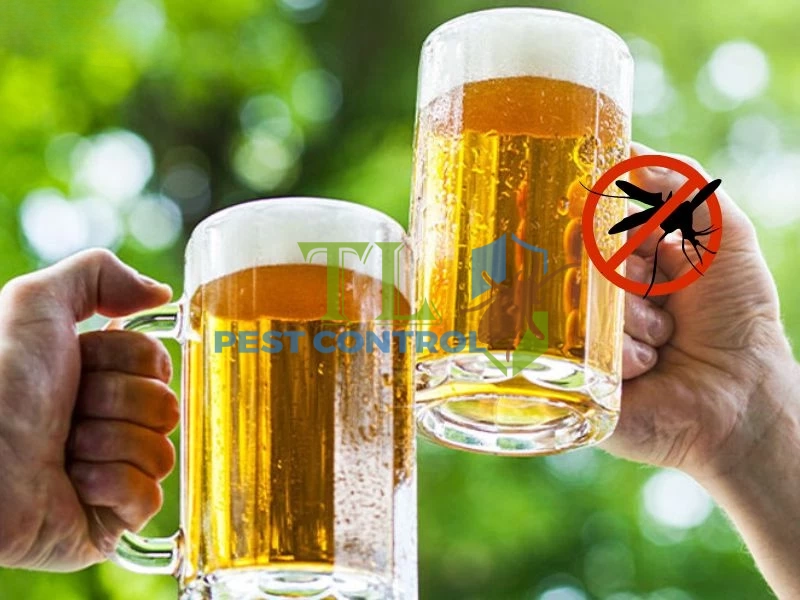 cách đuổi muỗi bằng bia cách đuổi muỗi bằng bia
