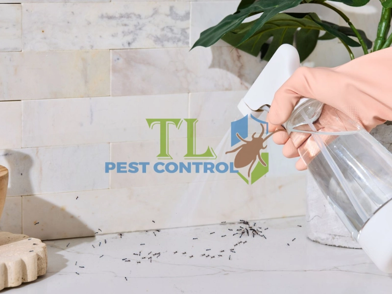 thuốc xịt kiến không độc hại thuốc xịt kiến không độc hại