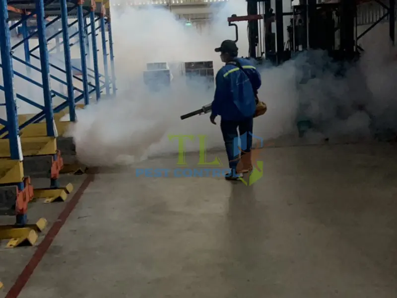 Kiểm soát muỗi ở giai đoạn ấu trùng