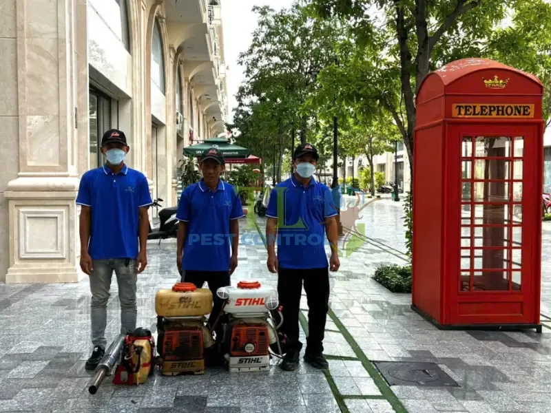 diệt mối giá rẻ