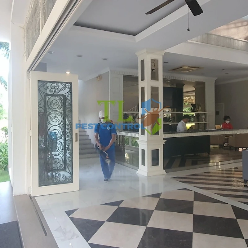 diệt mối tại quận 12