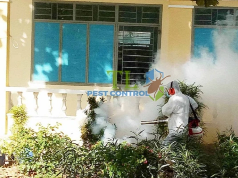 Lưu ý an toàn khi sử dụng Bithor Dual Action Insecticide
