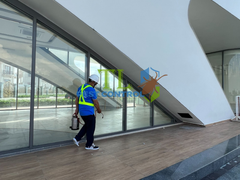 Địa chỉ dịch vụ diệt mối Trần Long phục vụ phường Bình Tây