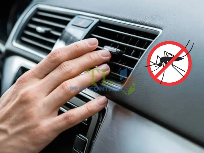 cách đuổi muỗi trong xe ô tô